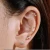 Import Stainless Steel Ear Bone Nails Zircon Screw Stud Earrings Womens Earrings Piercing Jewelry from China
