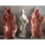 Import Statuary Concrete Cement Making Garden Latex Rubber Molds For Statues from China