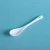 Import Super white color ceramic mini salt coffee tea spoon with different size from China