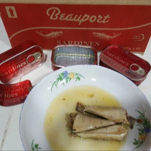 Supply Canned sardine fish