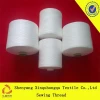 T40 China high tenacity 100% polyester chenille yarn