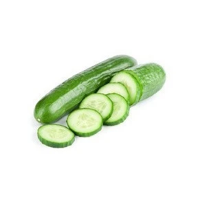 The BEST deal of Fresh Cucumber from a 12 year experienced exporter of Viet Nam