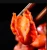 Import Thirteen flavors Lobster Prawn Seasoning Seafood Shrimp hot pot Crayfish Condiment sauce from China