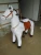 Import three size for choice walking mechanical ride on horse,mechanical animals ride-coin from China
