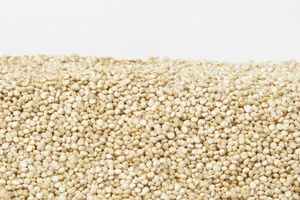 Top Grade Conventinoal and organic quinoa grains
