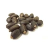 Top Grade, High Quality Jatropha Seeds For Sale