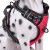 Top Seller Pet Products Customized Soft Outdoor Easy Walk Dog Vest Harness Adjustable Neck Dog Harness Vest for Pet Dogs