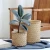 Import Traditional bamboo weaving design cement pot flower planter with moden color for home decoration from China