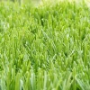 Trending hot products sports flooring gym flooring artificial grass