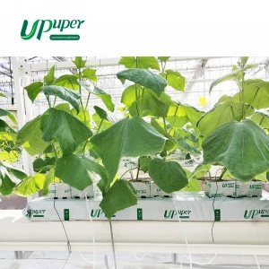 UPuper Cultivation rockwool strip planting tool indoor grow cultivation vegetables 40x8x4 inch