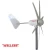Import vertical axis small vertical windmill generatorWS-WT300W from China