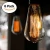 Import Vintage Edison Bulbs 60W Squirrel Cage Filament Incandescent Antique Light Bulb for Home Light Fixtures E27 E26 Base ST64 sale from China