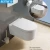 Import wall hung toilet P-trap soft-closing PP seat cover from China