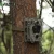 Import Waterproof Wildlife HD Video Hunting Camera with Time Lapse Function from China