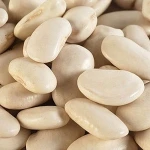 White kidney beans / butter bean / white bean