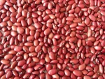 white kidney beans / butter bean / white bean