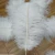 Import White Ostrich feathers Wholesale 15.7-17.7&#39;&#39; Non-toxic In Stock Certificated from China