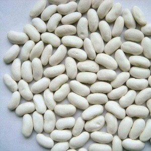 White Pea Beans/Kidney Beans