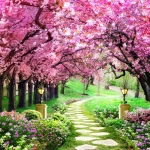 Wholesale 3D mural wallpaper room tv background waterproof wall coating wall paper 3d wall paper home decoration
