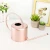 Import Wholesale Brass Effect Watering Can Metal Outdoor Watering Can Vintage Watering Can from China