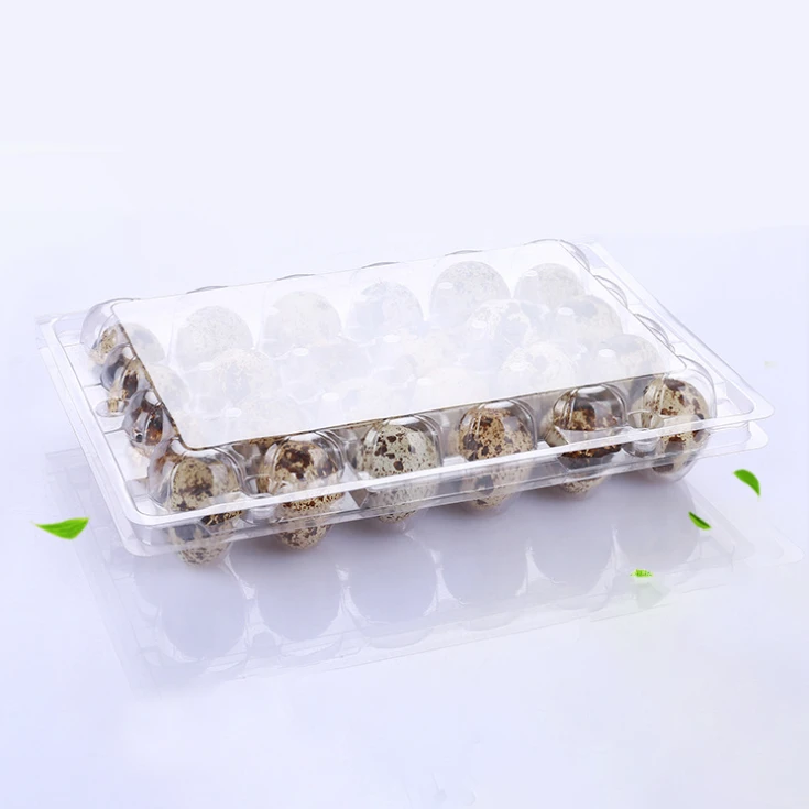 Wholesale disposable clear pvc quail egg packing cartons blister plastic box 24 holes transparent quail_egg_tray