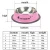 Import Wholesale nonslip color large stainless steel dog bowl/pet bowl /cat bowl with rubber base Stainless Steel Pet food bowl Dish from China