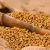 Import wholesale OEM yellow buckwheat tea herbal tea 1kg bulk package from China