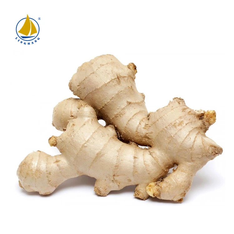 Wholesale organic agricultural product fresh air dried vegetables ginger