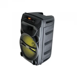 Wholesale outdoor 8 inch sound box karaoke speaker woofer with led light