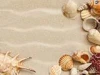 Wholesale Seashell Craft