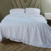 Wholesale Solid Color Customized Modern Style Soft Hand Feeling Washable Bamboo Bedding Set All Size Bed Sheet Set