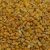 Import Yellow Corn & White Corn Maize for Human & Animal Feed from South Africa
