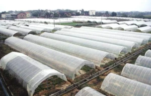 Fully Biodegradable Greenhouse Film