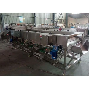 Buy Potato Grading Machine, Potato Sorting Machine from Anyang Fashun ...