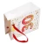 Import art paper shopping bags with Hot stamping from China