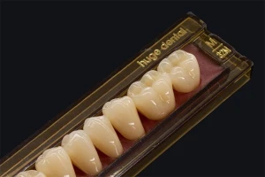 KAIJING Synthetic Polymer Teeth
