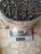 Import BLACK PEPPERCORN from Indonesia
