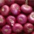 Import Fresh Indian Red Onions from India