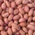 Import Wholesale Long and short Raw Peanuts from South Africa