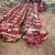 Import red glazed roof tiles from China