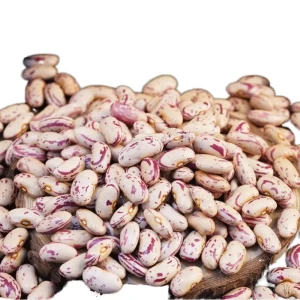 Pinto Beans Supplier Best Quality