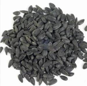 Black Sunflower Seeds