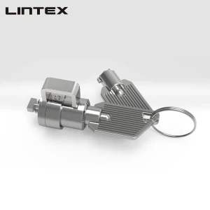 Computer Security Keyed Chassis Lock with Hook No Cable (RL206-4)