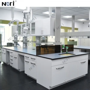 OEM Design High Quality Chemical Laboratory Furniture Workbench Island Table With Sink