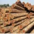Import Teak round wood log / Forest Teak Wood /round log from Germany