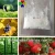 Import Best Price Plant Powder Gibberellin GA4 7 Gibberellic Acid 90%TC from China