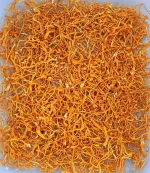 Eucordy Gold, 100% Dried Cordyceps fruiting Bodies