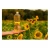 Import Best Price 100% Refined Cooking Oil Sunflower Oil for Food from Malaysia