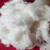 Import White Raw Cotton For Textile Industry for sale from Tanzania