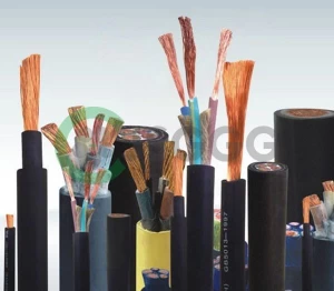 Rubber Cable (IEC)